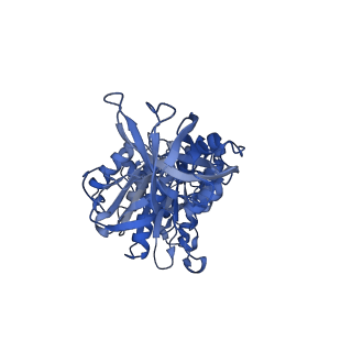 22311_7jg5_F_v2-3
Cryo-EM structure of bedaquiline-free Mycobacterium smegmatis ATP synthase rotational state 1