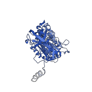 22316_7jga_A_v1-2
Cryo-EM structure of bedaquiline-saturated Mycobacterium smegmatis ATP synthase rotational state 3