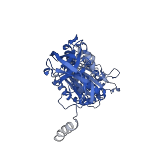 22316_7jga_A_v1-3
Cryo-EM structure of bedaquiline-saturated Mycobacterium smegmatis ATP synthase rotational state 3