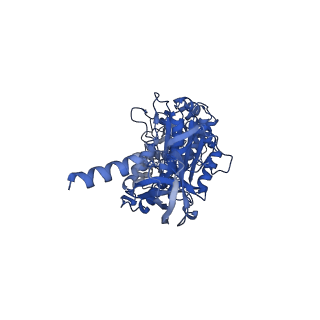 22316_7jga_B_v1-2
Cryo-EM structure of bedaquiline-saturated Mycobacterium smegmatis ATP synthase rotational state 3