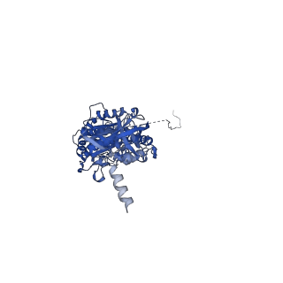22316_7jga_C_v1-2
Cryo-EM structure of bedaquiline-saturated Mycobacterium smegmatis ATP synthase rotational state 3