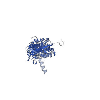 22316_7jga_C_v1-3
Cryo-EM structure of bedaquiline-saturated Mycobacterium smegmatis ATP synthase rotational state 3