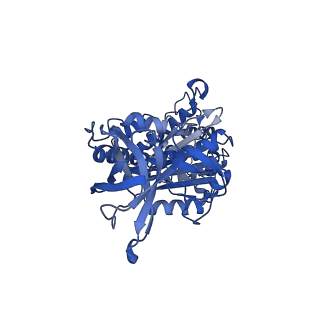 22316_7jga_D_v1-3
Cryo-EM structure of bedaquiline-saturated Mycobacterium smegmatis ATP synthase rotational state 3