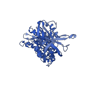 22316_7jga_E_v1-2
Cryo-EM structure of bedaquiline-saturated Mycobacterium smegmatis ATP synthase rotational state 3