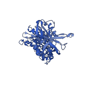 22316_7jga_E_v1-3
Cryo-EM structure of bedaquiline-saturated Mycobacterium smegmatis ATP synthase rotational state 3