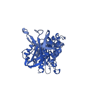 22316_7jga_F_v1-2
Cryo-EM structure of bedaquiline-saturated Mycobacterium smegmatis ATP synthase rotational state 3