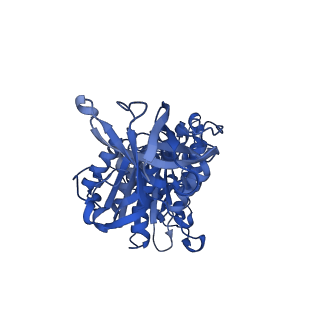 22316_7jga_F_v1-3
Cryo-EM structure of bedaquiline-saturated Mycobacterium smegmatis ATP synthase rotational state 3