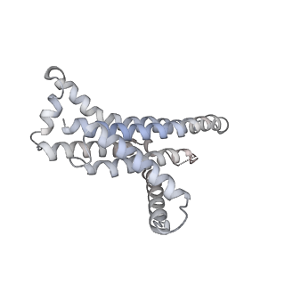 22316_7jga_a_v1-3
Cryo-EM structure of bedaquiline-saturated Mycobacterium smegmatis ATP synthase rotational state 3