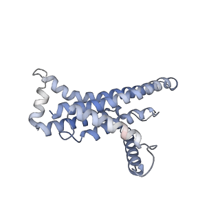 22320_7jgb_a_v1-0
Cryo-EM structure of bedaquiline-free Mycobacterium smegmatis ATP synthase FO region