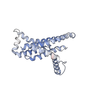 22320_7jgb_a_v2-2
Cryo-EM structure of bedaquiline-free Mycobacterium smegmatis ATP synthase FO region