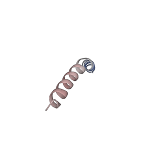 22320_7jgb_d_v2-3
Cryo-EM structure of bedaquiline-free Mycobacterium smegmatis ATP synthase FO region