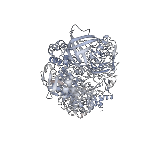 22328_7jgj_A_v1-0
IgA1 Protease in complex with neutralizing mAb
