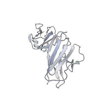 22328_7jgj_L_v1-0
IgA1 Protease in complex with neutralizing mAb