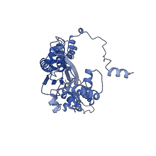 22329_7jgr_A_v1-0
Structure of Drosophila ORC bound to DNA (84 bp) and Cdc6