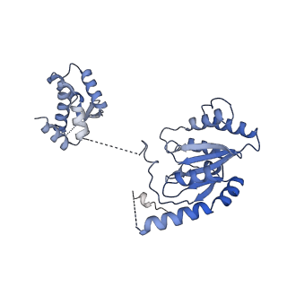 22329_7jgr_B_v1-1
Structure of Drosophila ORC bound to DNA (84 bp) and Cdc6