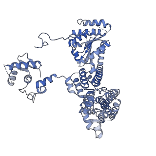 22329_7jgr_C_v1-0
Structure of Drosophila ORC bound to DNA (84 bp) and Cdc6