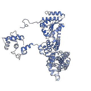 22329_7jgr_C_v1-1
Structure of Drosophila ORC bound to DNA (84 bp) and Cdc6