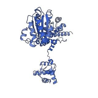 22329_7jgr_D_v1-0
Structure of Drosophila ORC bound to DNA (84 bp) and Cdc6