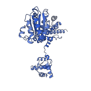 22329_7jgr_D_v1-1
Structure of Drosophila ORC bound to DNA (84 bp) and Cdc6