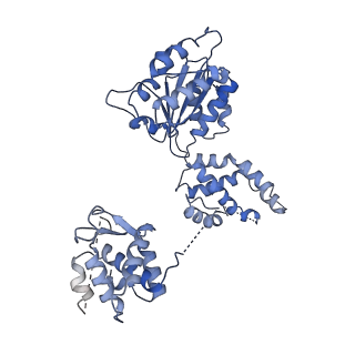 22329_7jgr_E_v1-0
Structure of Drosophila ORC bound to DNA (84 bp) and Cdc6