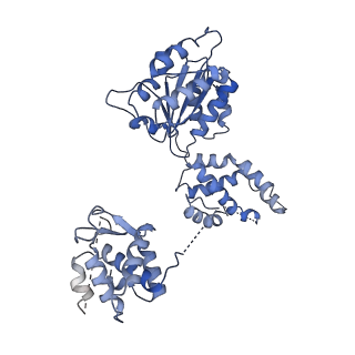 22329_7jgr_E_v1-1
Structure of Drosophila ORC bound to DNA (84 bp) and Cdc6