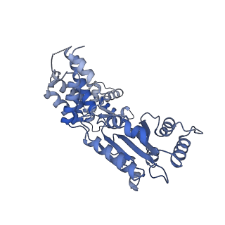 22329_7jgr_G_v1-0
Structure of Drosophila ORC bound to DNA (84 bp) and Cdc6