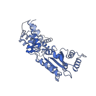 22329_7jgr_G_v1-1
Structure of Drosophila ORC bound to DNA (84 bp) and Cdc6