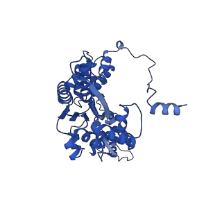 22330_7jgs_A_v1-0
Structure of Drosophila ORC bound to poly(dA/dT) DNA and Cdc6 (conformation 2)