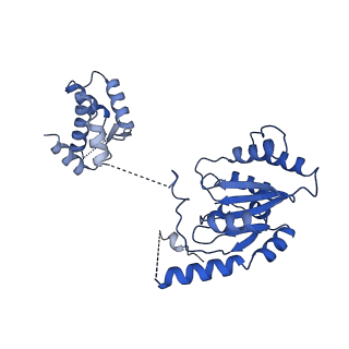 22330_7jgs_B_v1-1
Structure of Drosophila ORC bound to poly(dA/dT) DNA and Cdc6 (conformation 2)