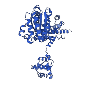 22330_7jgs_D_v1-0
Structure of Drosophila ORC bound to poly(dA/dT) DNA and Cdc6 (conformation 2)