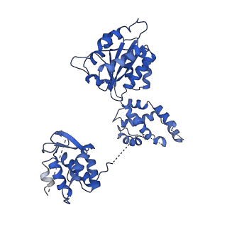 22330_7jgs_E_v1-0
Structure of Drosophila ORC bound to poly(dA/dT) DNA and Cdc6 (conformation 2)