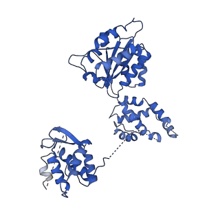 22330_7jgs_E_v1-1
Structure of Drosophila ORC bound to poly(dA/dT) DNA and Cdc6 (conformation 2)