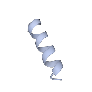 22330_7jgs_F_v1-0
Structure of Drosophila ORC bound to poly(dA/dT) DNA and Cdc6 (conformation 2)