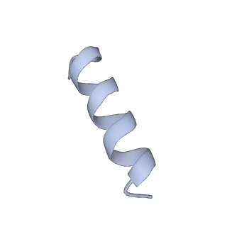 22330_7jgs_F_v1-1
Structure of Drosophila ORC bound to poly(dA/dT) DNA and Cdc6 (conformation 2)