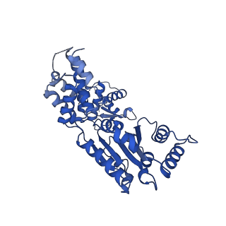 22330_7jgs_G_v1-0
Structure of Drosophila ORC bound to poly(dA/dT) DNA and Cdc6 (conformation 2)