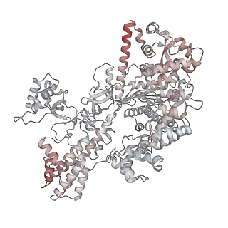 36225_8jg9_D_v1-0
Cryo-EM structure of the SaCas9-sgRNA-AcrIIA15-promoter DNA dimer