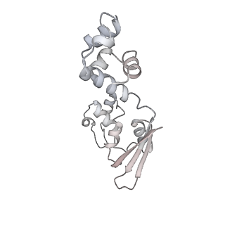 36225_8jg9_F_v1-0
Cryo-EM structure of the SaCas9-sgRNA-AcrIIA15-promoter DNA dimer