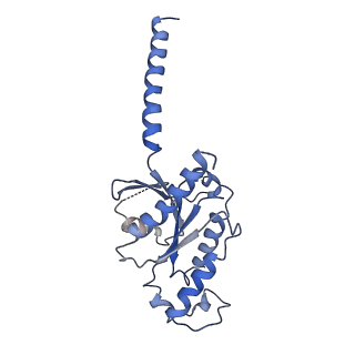 36229_8jgb_A_v1-0
CryoEM structure of Gi-coupled MRGPRX1 with peptide agonist CNF-Tx2