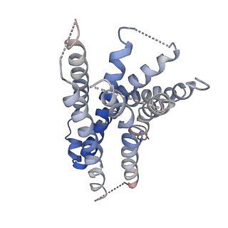 36229_8jgb_R_v1-0
CryoEM structure of Gi-coupled MRGPRX1 with peptide agonist CNF-Tx2