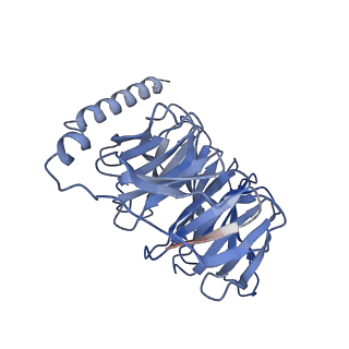 36232_8jgf_B_v1-0
CryoEM structure of Gq-coupled MRGPRX1 with peptide agonist BAM8-22