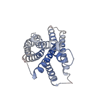 36232_8jgf_R_v1-0
CryoEM structure of Gq-coupled MRGPRX1 with peptide agonist BAM8-22