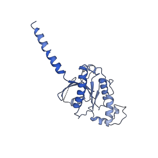 36233_8jgg_A_v1-0
CryoEM structure of Gi-coupled MRGPRX1 with peptide agonist BAM8-22