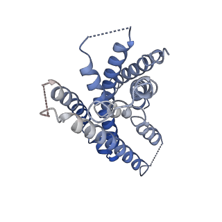 36233_8jgg_R_v1-0
CryoEM structure of Gi-coupled MRGPRX1 with peptide agonist BAM8-22