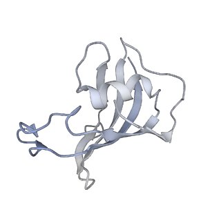 9824_6jgz_A_v1-2
Structure of RyR2 (F/P/Ca2+ dataset)