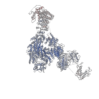 9824_6jgz_B_v1-2
Structure of RyR2 (F/P/Ca2+ dataset)