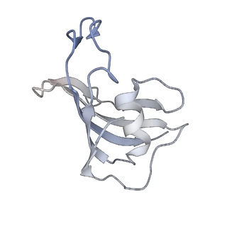 9824_6jgz_C_v1-2
Structure of RyR2 (F/P/Ca2+ dataset)