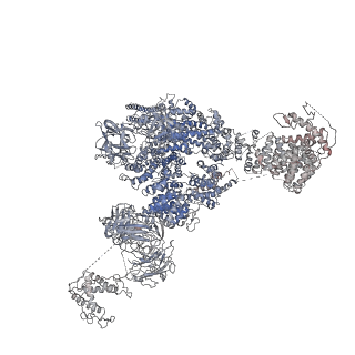 9824_6jgz_D_v1-2
Structure of RyR2 (F/P/Ca2+ dataset)