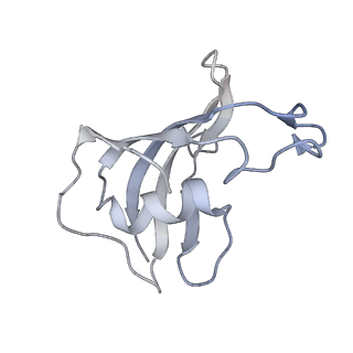 9824_6jgz_E_v1-2
Structure of RyR2 (F/P/Ca2+ dataset)