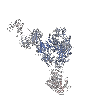 9824_6jgz_F_v1-2
Structure of RyR2 (F/P/Ca2+ dataset)