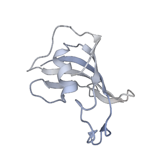 9824_6jgz_G_v1-2
Structure of RyR2 (F/P/Ca2+ dataset)